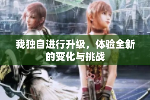 我独自进行升级，体验全新的变化与挑战