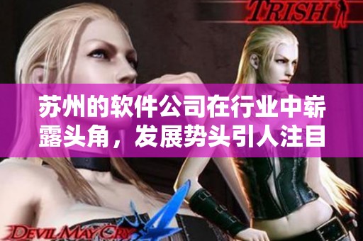 苏州的软件公司在行业中崭露头角，发展势头引人注目