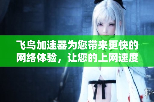 飞鸟加速器为您带来更快的网络体验，让您的上网速度飞速提升！