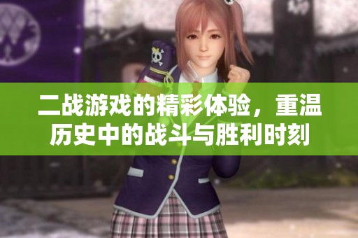 二战游戏的精彩体验，重温历史中的战斗与胜利时刻