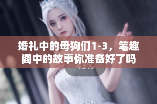 婚礼中的母狗们1-3，笔趣阁中的故事你准备好了吗