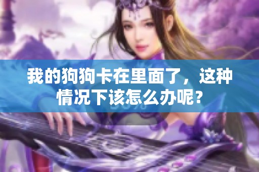 我的狗狗卡在里面了，这种情况下该怎么办呢？