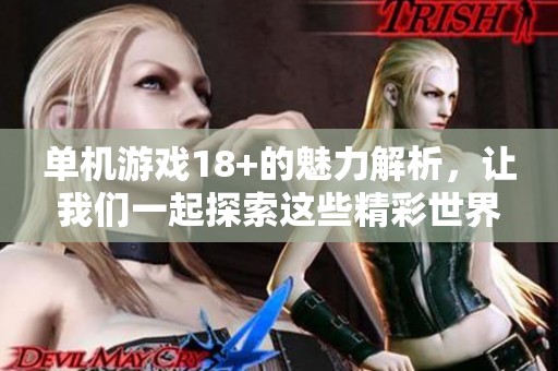 单机游戏18+的魅力解析，让我们一起探索这些精彩世界