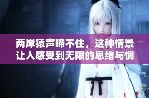 两岸猿声啼不住，这种情景让人感受到无限的思绪与惆怅