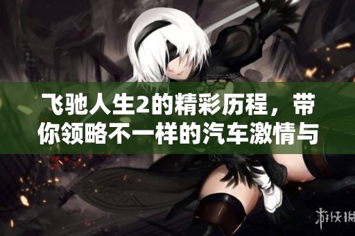 飞驰人生2的精彩历程，带你领略不一样的汽车激情与挑战