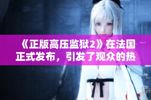 《正版高压监狱2》在法国正式发布，引发了观众的热烈讨论与期待