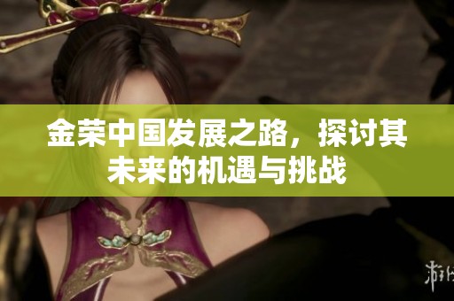 金荣中国发展之路，探讨其未来的机遇与挑战