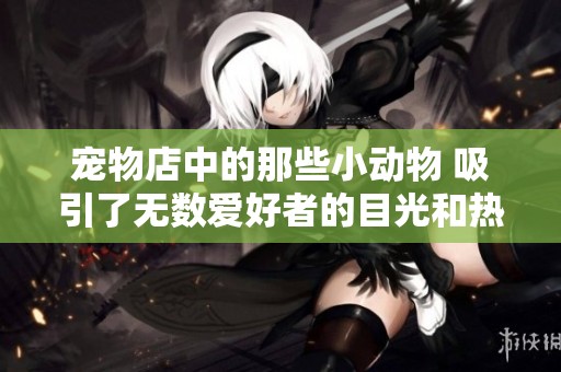 宠物店中的那些小动物 吸引了无数爱好者的目光和热情