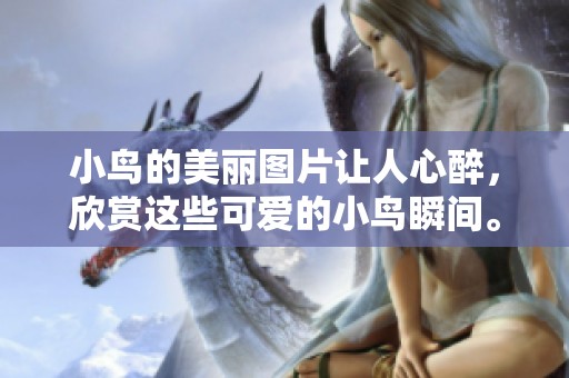 小鸟的美丽图片让人心醉，欣赏这些可爱的小鸟瞬间。