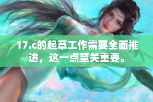 17.c的起草工作需要全面推进，这一点至关重要。