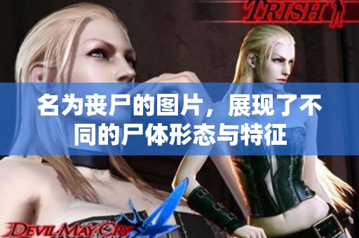 名为丧尸的图片，展现了不同的尸体形态与特征