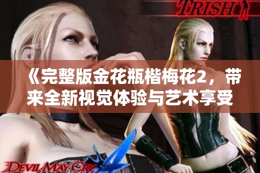 《完整版金花瓶楷梅花2，带来全新视觉体验与艺术享受》