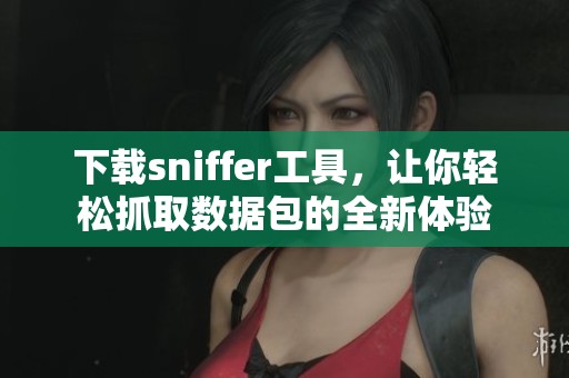 下载sniffer工具，让你轻松抓取数据包的全新体验