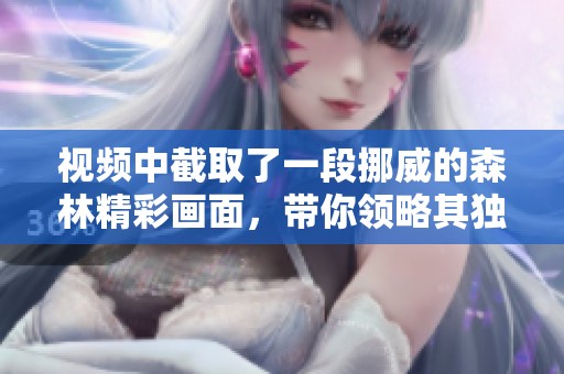 视频中截取了一段挪威的森林精彩画面，带你领略其独特魅力