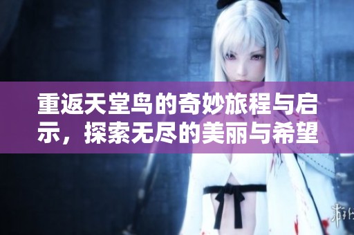 重返天堂鸟的奇妙旅程与启示，探索无尽的美丽与希望