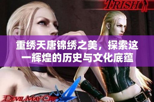 重绣天唐锦绣之美，探索这一辉煌的历史与文化底蕴