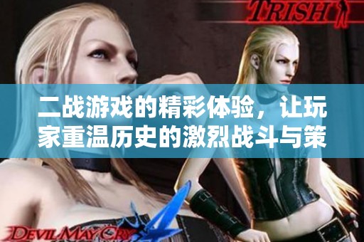二战游戏的精彩体验，让玩家重温历史的激烈战斗与策略挑战
