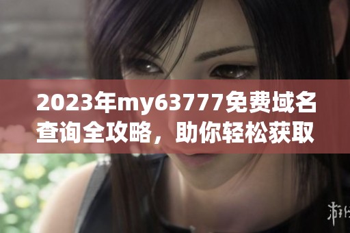 2023年my63777免费域名查询全攻略，助你轻松获取理想域名