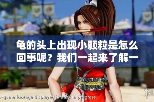龟的头上出现小颗粒是怎么回事呢？我们一起来了解一下吧