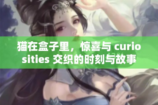 猫在盒子里，惊喜与 curiosities 交织的时刻与故事