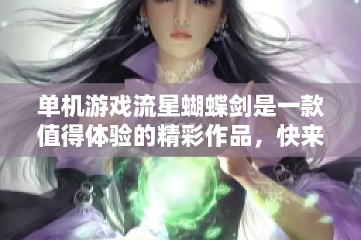 单机游戏流星蝴蝶剑是一款值得体验的精彩作品，快来探索它的魅力所在！