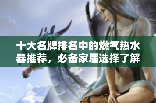 十大名牌排名中的燃气热水器推荐，必备家居选择了解一下！