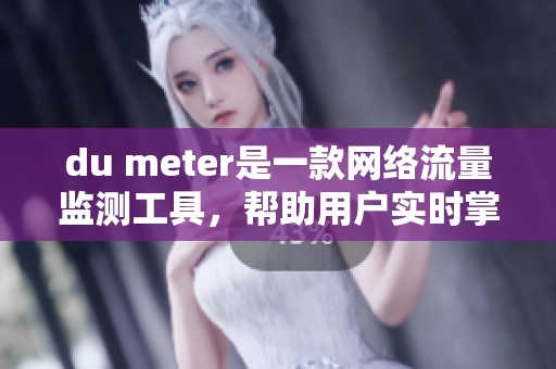 du meter是一款网络流量监测工具，帮助用户实时掌握网络数据使用情况。