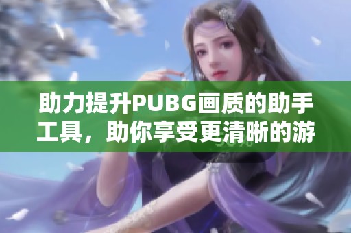 助力提升PUBG画质的助手工具，助你享受更清晰的游戏体验