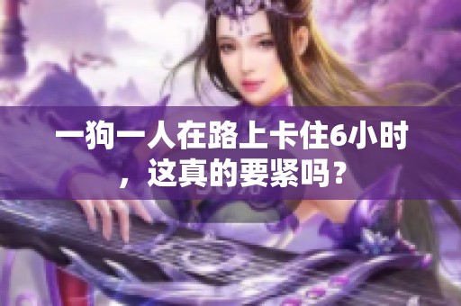 一狗一人在路上卡住6小时，这真的要紧吗？