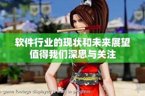 软件行业的现状和未来展望值得我们深思与关注