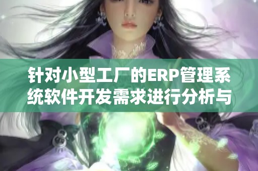 针对小型工厂的ERP管理系统软件开发需求进行分析与探讨