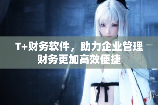 T+财务软件，助力企业管理财务更加高效便捷