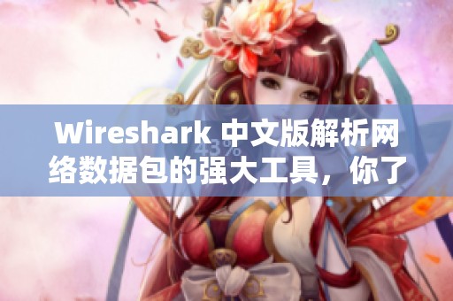 Wireshark 中文版解析网络数据包的强大工具，你了解它的功能吗