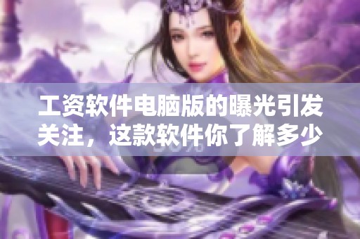 工资软件电脑版的曝光引发关注，这款软件你了解多少呢