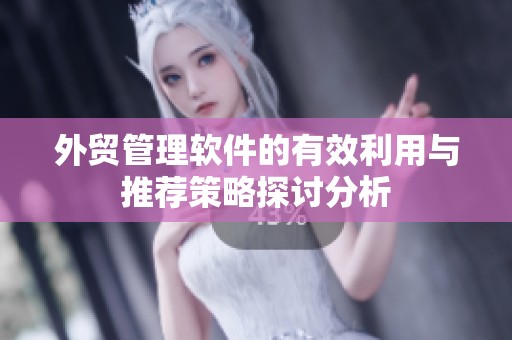外贸管理软件的有效利用与推荐策略探讨分析