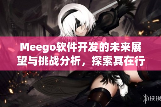 Meego软件开发的未来展望与挑战分析，探索其在行业中的应用潜力
