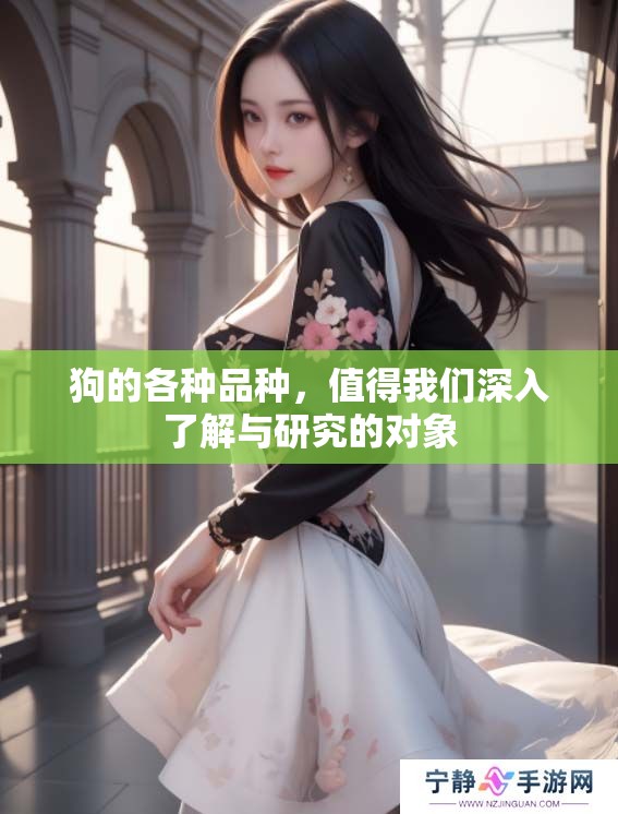 狗的各种品种，值得我们深入了解与研究的对象