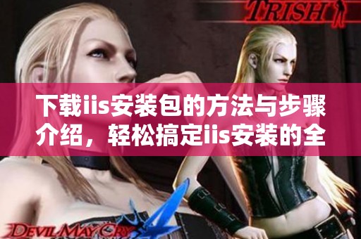 下载iis安装包的方法与步骤介绍，轻松搞定iis安装的全过程