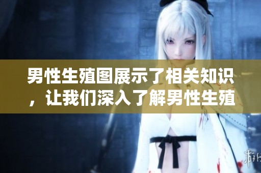男性生殖图展示了相关知识，让我们深入了解男性生殖系统的重要性