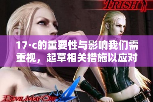 17·c的重要性与影响我们需重视，起草相关措施以应对挑战