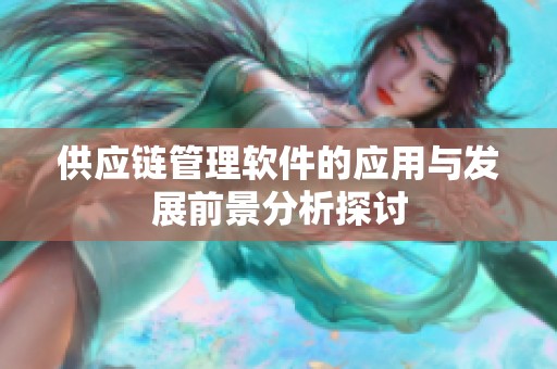 供应链管理软件的应用与发展前景分析探讨
