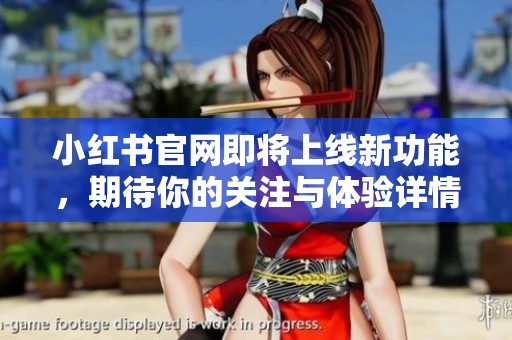 小红书官网即将上线新功能，期待你的关注与体验详情！