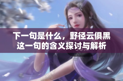 下一句是什么，野径云俱黑这一句的含义探讨与解析