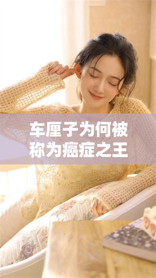 车厘子为何被称为癌症之王？探讨其背后的原因与影响