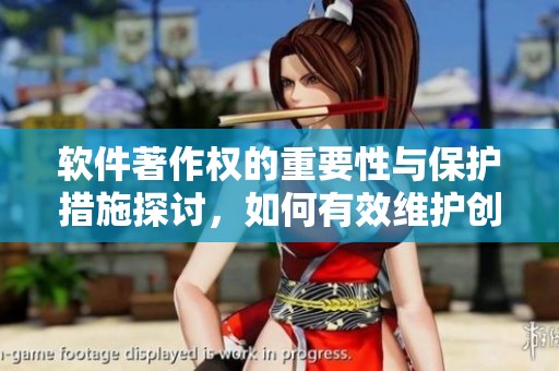 软件著作权的重要性与保护措施探讨，如何有效维护创新成果的合法权益