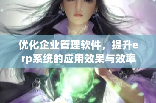 优化企业管理软件，提升erp系统的应用效果与效率