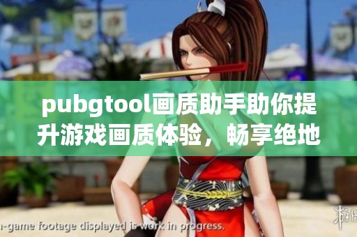 pubgtool画质助手助你提升游戏画质体验，畅享绝地求生的高清视界