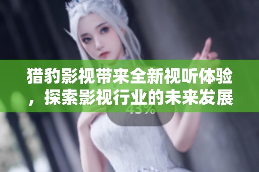 猎豹影视带来全新视听体验，探索影视行业的未来发展之路