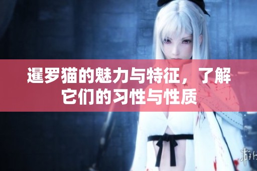 暹罗猫的魅力与特征，了解它们的习性与性质