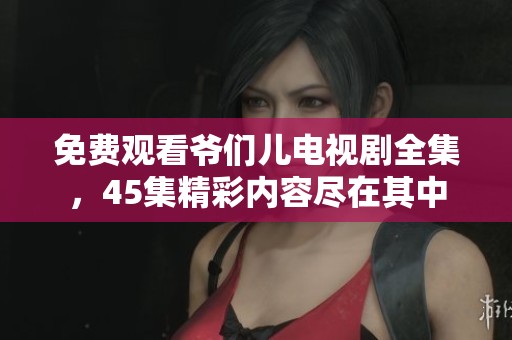 免费观看爷们儿电视剧全集，45集精彩内容尽在其中